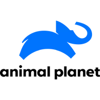Канал 2449